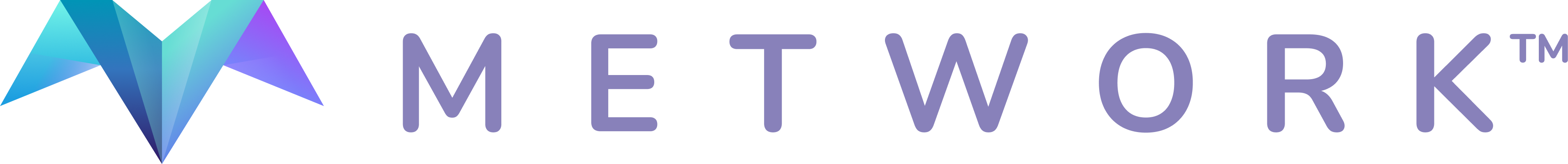 Metwork_Dark_Logo_3818x400px
